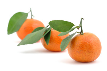 Fresh tangerines