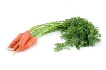 Bunch of carrots in isolated white background