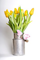 Tulpen
