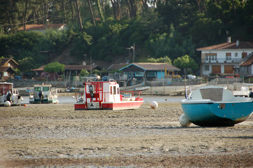 Cap ferret