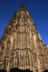 der kölner dom