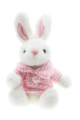 Easter Bunny on White Background