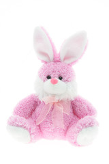 Easter Bunny on White Background