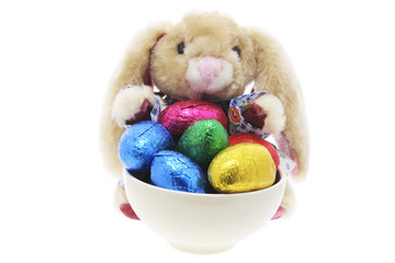 Bunny and Easter Eggs on White  Background