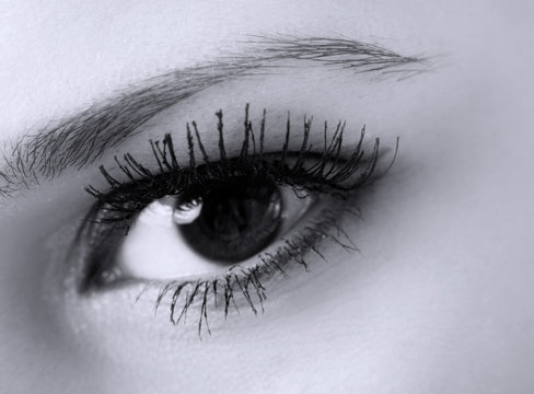 female eye with long eyelashes macro, black and white