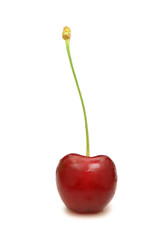 Red cherry isolated on the white background