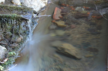 Fuente