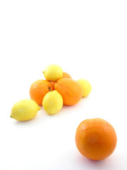Fruits