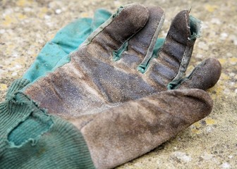 Old Gardening Gloves