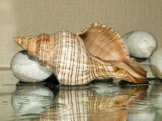 sink with reflection in the water