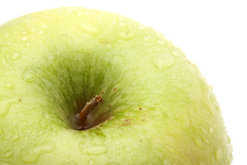 Apple. macro