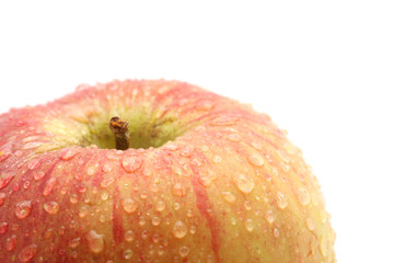 Apple. macro