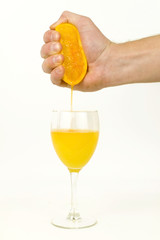 Freshly Squeezed Orange Juice