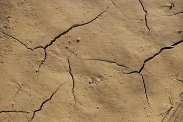 mud