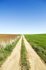 Fototapeta na wymiar Country road in a green and brown field