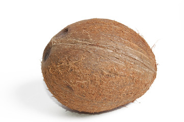 Coconut fruit isolated on a white back ground