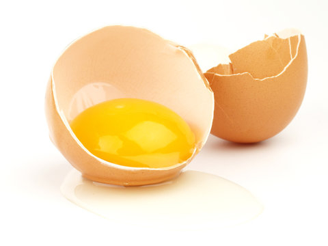 Ei mit Eigelb, Eiweiß und Eierschalen