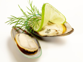 Muscheln © ExQuisine