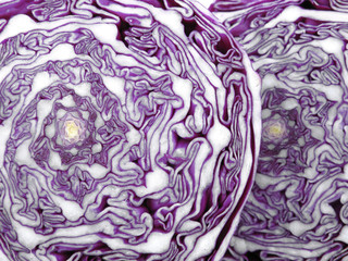 Obraz premium Cabbage cross section