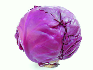 Cabbage purple isolated on white