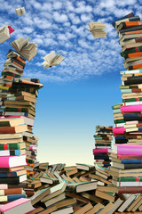 This is books scramble. Many books to scatter under sky.