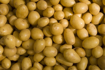 kartoffeln