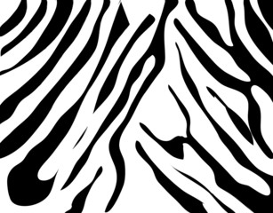 zebra texture Black and White