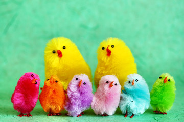 Family of easter chicks