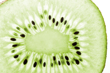 macro slim tranperent slice of fresh kiwi