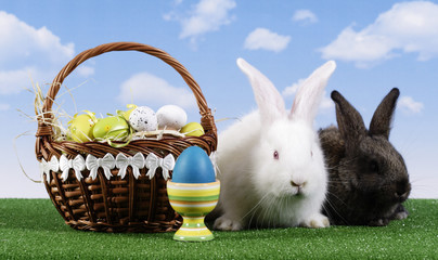 Easter. The rabbit and a easter egg with a sky background