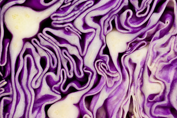 Obraz premium Close-up shot of violet cabbage (cut)