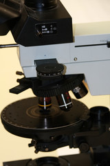 microscope