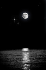 notte con luna piena - obrazy, fototapety, plakaty