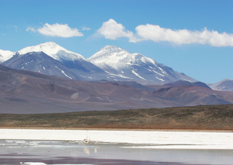 Lac salé dans les Andes