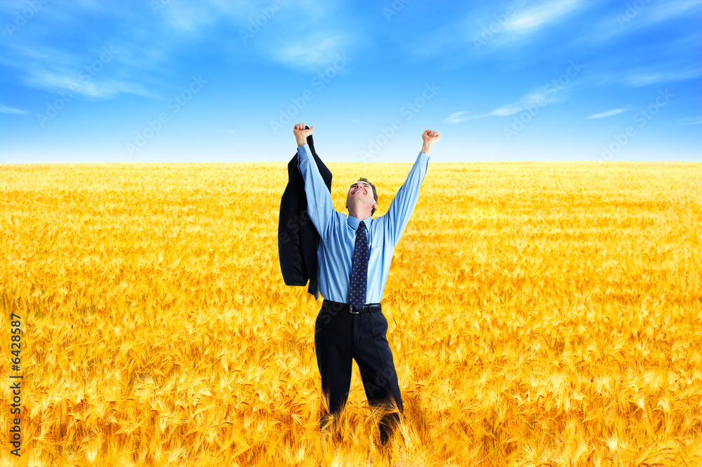 Wall mural free successful businessman in the field under blue sky.