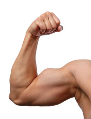 Close up of man's arm showing biceps - obrazy, fototapety, plakaty