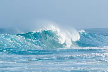 Tuinposter cresting wave © NorthShoreSurfPhotos