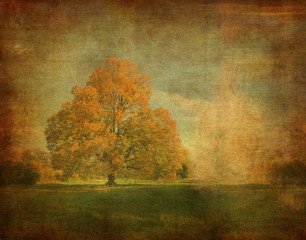 bleached image of a tree on a vintage paper