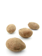 Fototapeta na wymiar Potato isolated