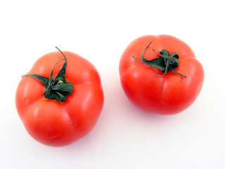 Tomatoes isolated