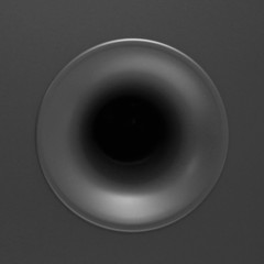 BASS_01