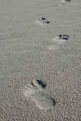 Fußspuren im Sand