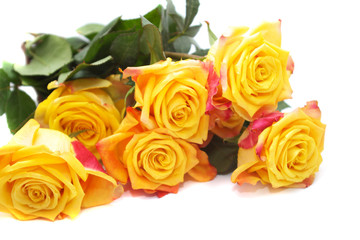 bouquet of yellow roses