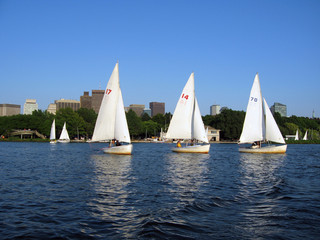 Fototapeta premium Sailboats on the river