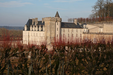 Fototapeta na wymiar Le château de Villandry