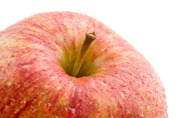 A part of a fresh red wet apple