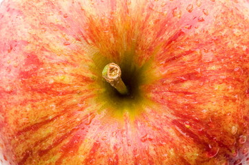 A fresh red wet apple