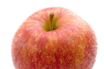 A part of a fresh red wet apple