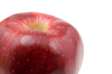 fresh red apple on white background