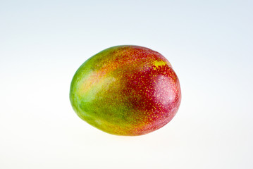 Obraz premium Mango isolated